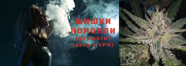 бошки Ладушкин