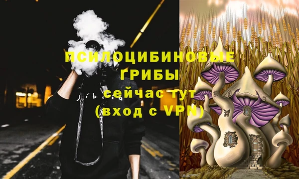 кокс Абаза