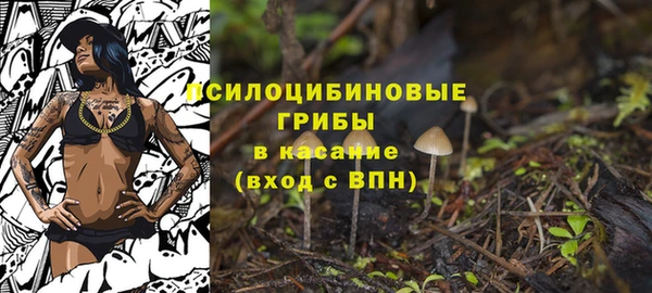кокс Абаза